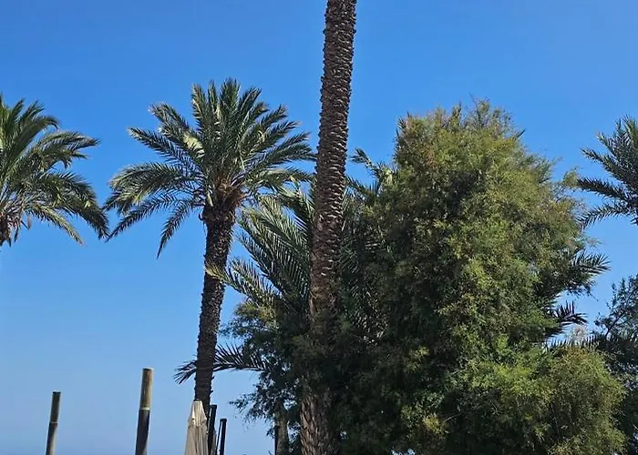 Belen Almudena Torrevieja